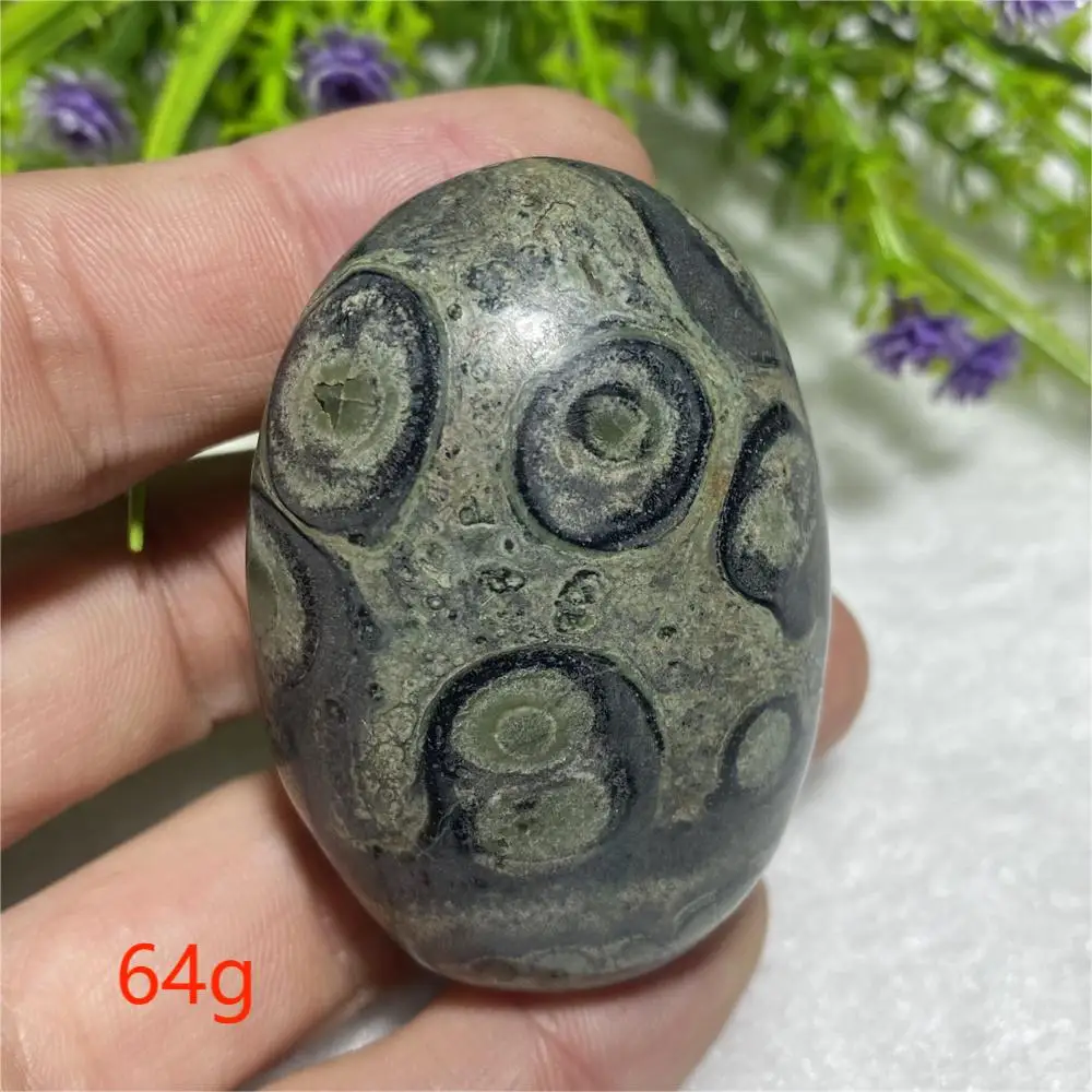 

Полированная ручка «Павлин глаз» из Мадагаскара