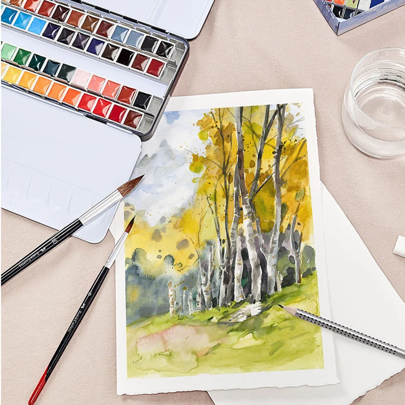 Faber-Castell 24/36/48 цвет полу-сухой сплошной воды твердый пигмент живопись канцелярские