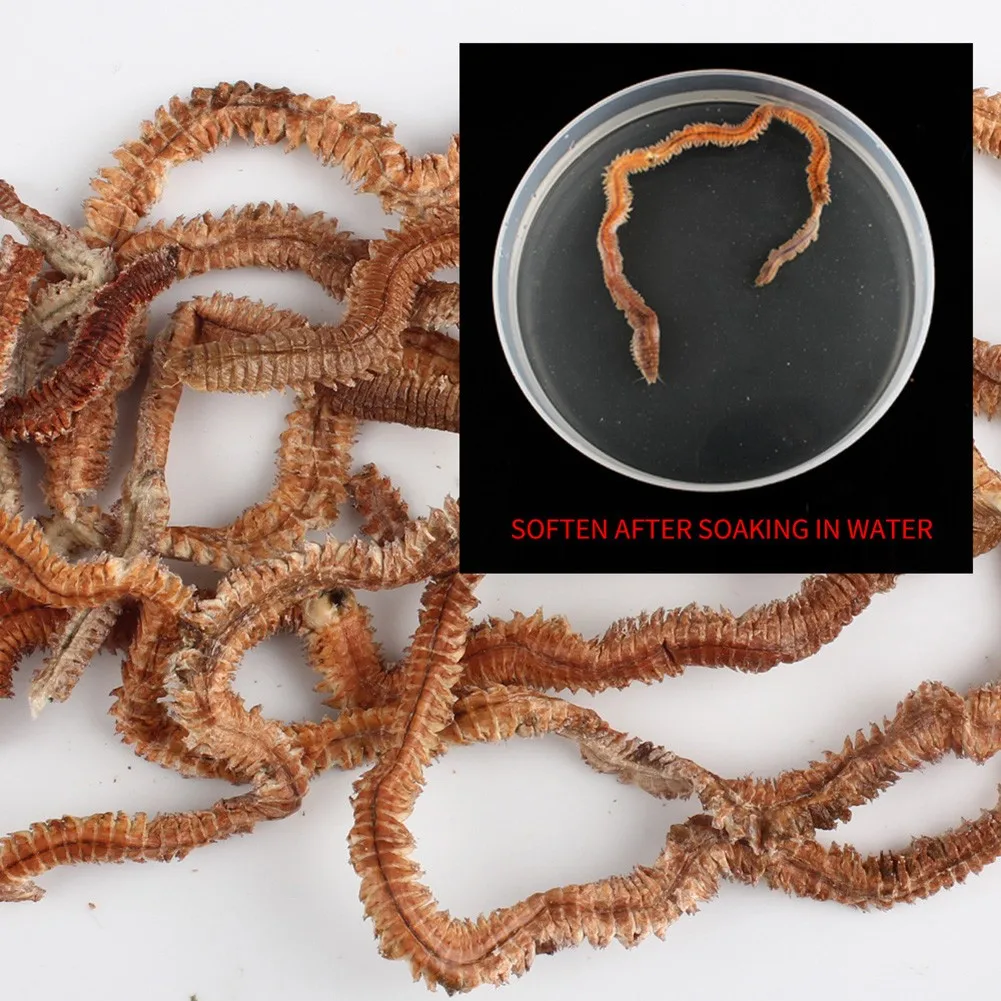 

The Real Color Of The Item May Be Slightly Different From The Pictures Shown On Website Caused By Many Factors Such As Brightnes
