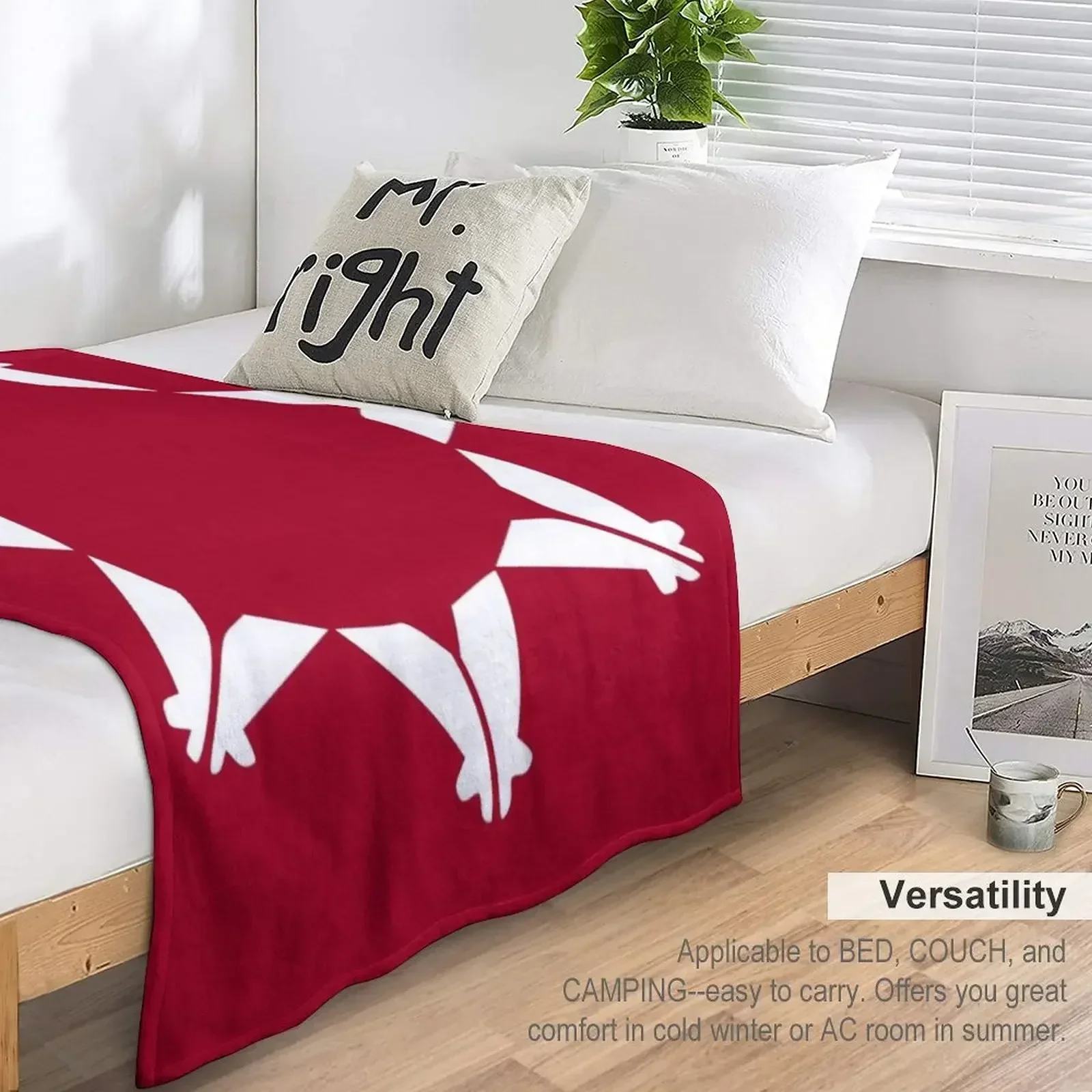 Одеяло с флагом Oglala Lakota Sioux мягкие кровати пляжные одеяла