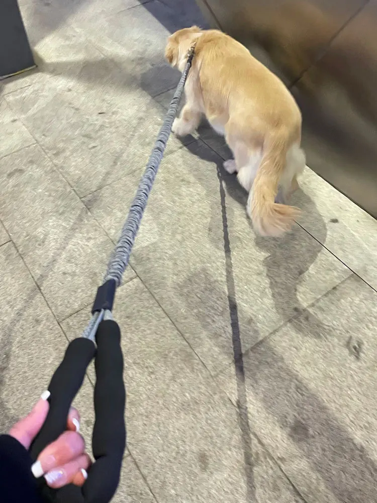 

Dog Leash Chain for Large Dogs Dog Leash Explosion-proof Punching Walking Rope Dog Chain Dog Leash Large Dog Border Pet Supplies