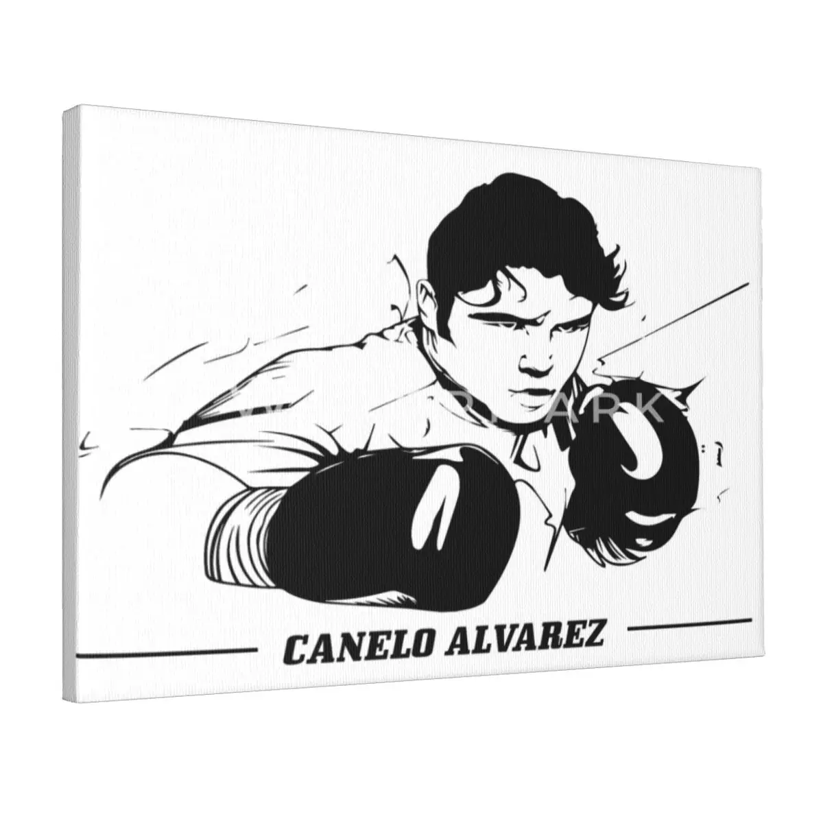 

Canelo-alvarez Canvas Frameless Painting Fashionable Office Perfect Gift Tasteless Multi-Style