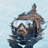 adjustable dog goggles uv protection dog sunglasses waterproof pet anti breaking eyewear windproof cat photo props supplies