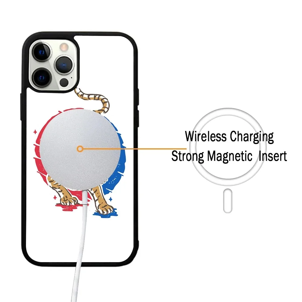 Чехол для телефона Taegeuk TIger с иллюстрацией IPhone 15 14 13 Pro Max 11 12 Mini Alex Mirror Magsafe чехол
