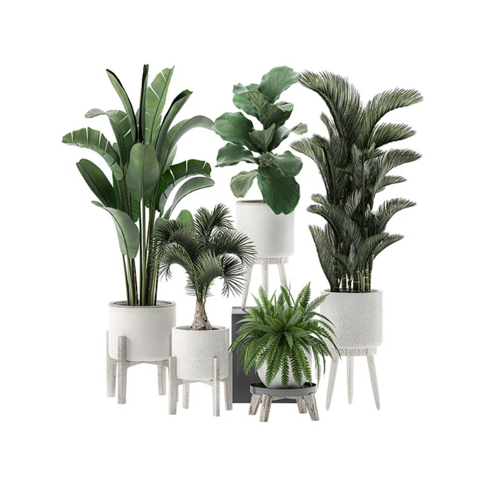 

Raymeel Greenery Traveler's Banana Stickers Bonsai Bedroom Living Room Hotel Wallpaper Home Decoration Mural Decals Painting DIY