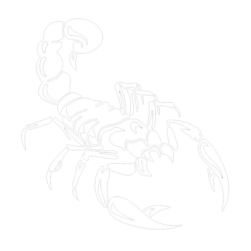 

Автомобильное украшение, 3D наклейка, крутая виниловая наклейка, белая, 40 см