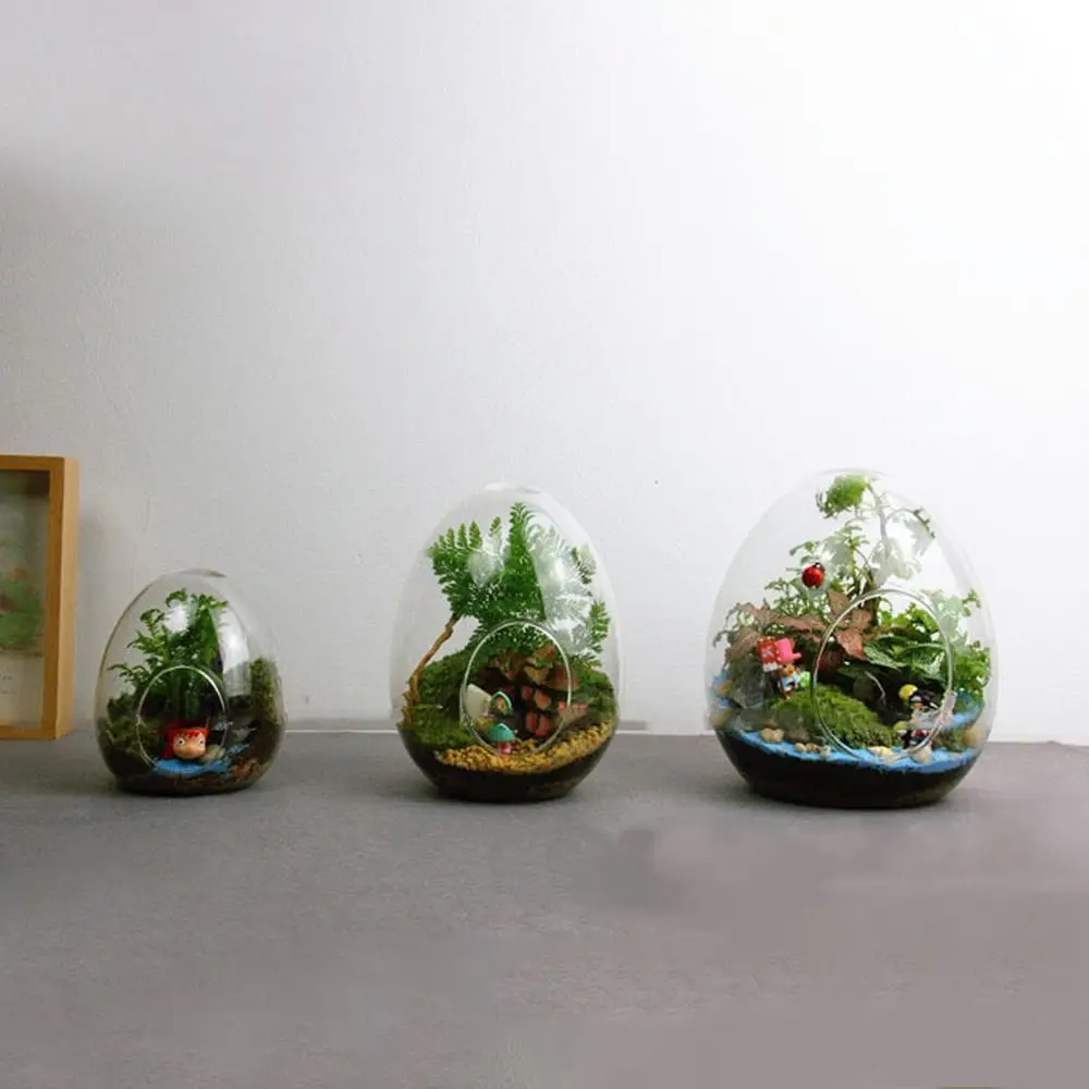 

Moss Egg-shaped Hydroponic Terrarium Succulent Glass Vase Home Decoration Micro Landscape Glass Glass Bottles