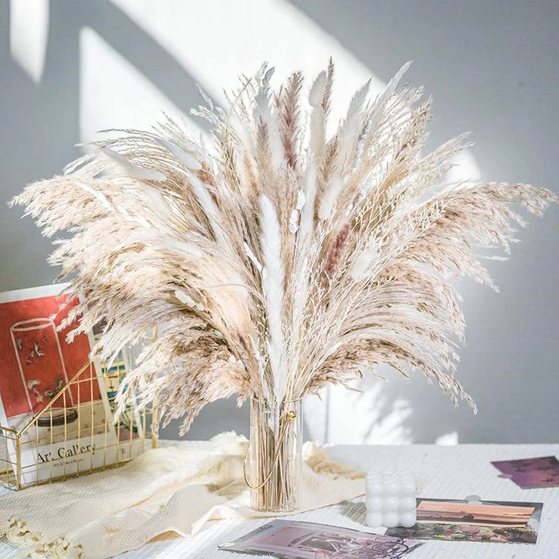

80PCS Natural Dried Pampas Grass Bouquet,Boho Home Decor Bouquet, Phragmites Dried Flowers,Bouquet for Wedding Decor