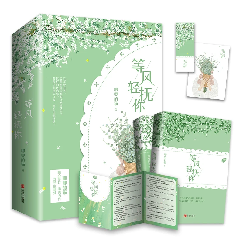 

2 Books/set Deng Feng Qing Fu Ni Original Novel Ji Ji De Mao Works Youth Campus Romance Novel Chinese Fiction Book