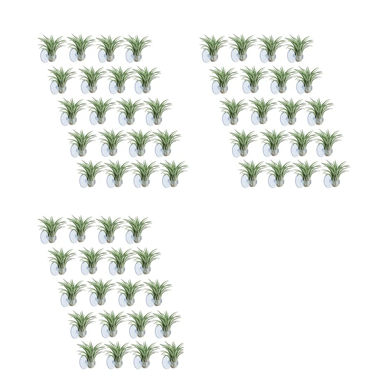 

LUDA 60 Pcs Air Plant Holder, Plant Pot Tillandsia Holder Air Plant Hanger With Suction Cup For Hanging (Plants Not Included)
