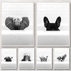 Животные, слон, кошка, собака, обезьяна, примите ванну, искусство на стене, Картина на холсте, печать, ванная комната, туалет, декор комнаты