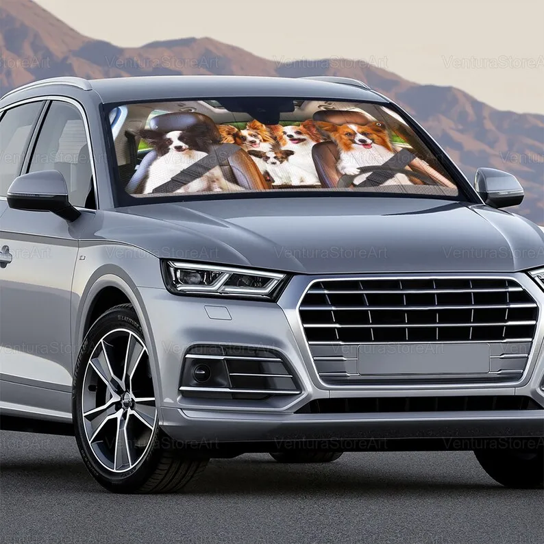 Рисунок 4 - Солнцезащитный козырек для автомобиля