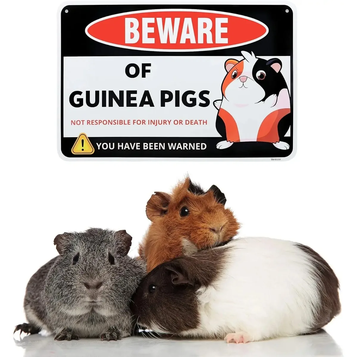 Классический стиль Венеор морская свинья декоративная табличка 12x8 см