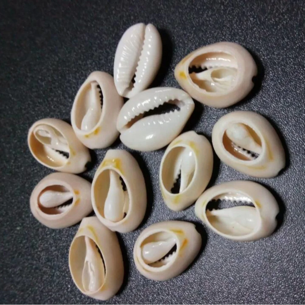

Shell Natural Charm Beads Jewelry Seashells Cowrie Diy Beach Shells Sea Charms Spiral Decor Bead Pendants Pendant Craft Crafts