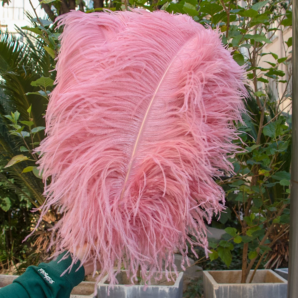

40pcs ostrich feather 55-60cm