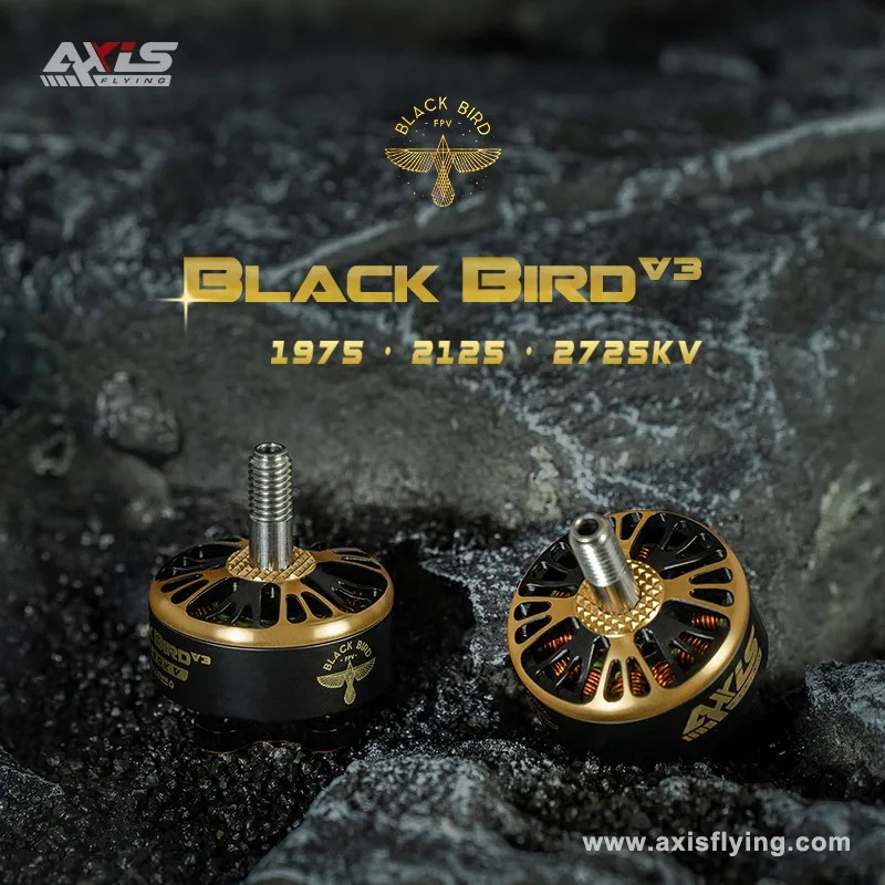 AxisFlying Blackbird V3 2207 2125KV