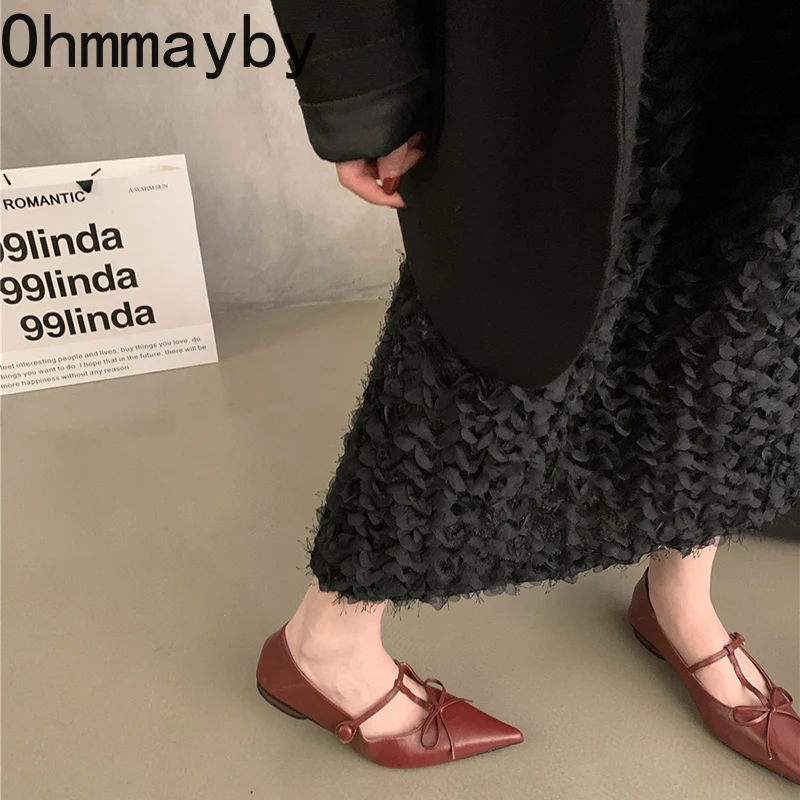 2024 весенне-осенняя женская обувь Мэри Джейн модная офисная с острым носком