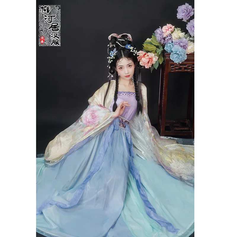 

LiuTingJu Spring Bronzing Chiffon Chinese Sling Hanfu Dress Suit Women Long Robe Elegant Ancient Masquerade Costume Blue Skirt