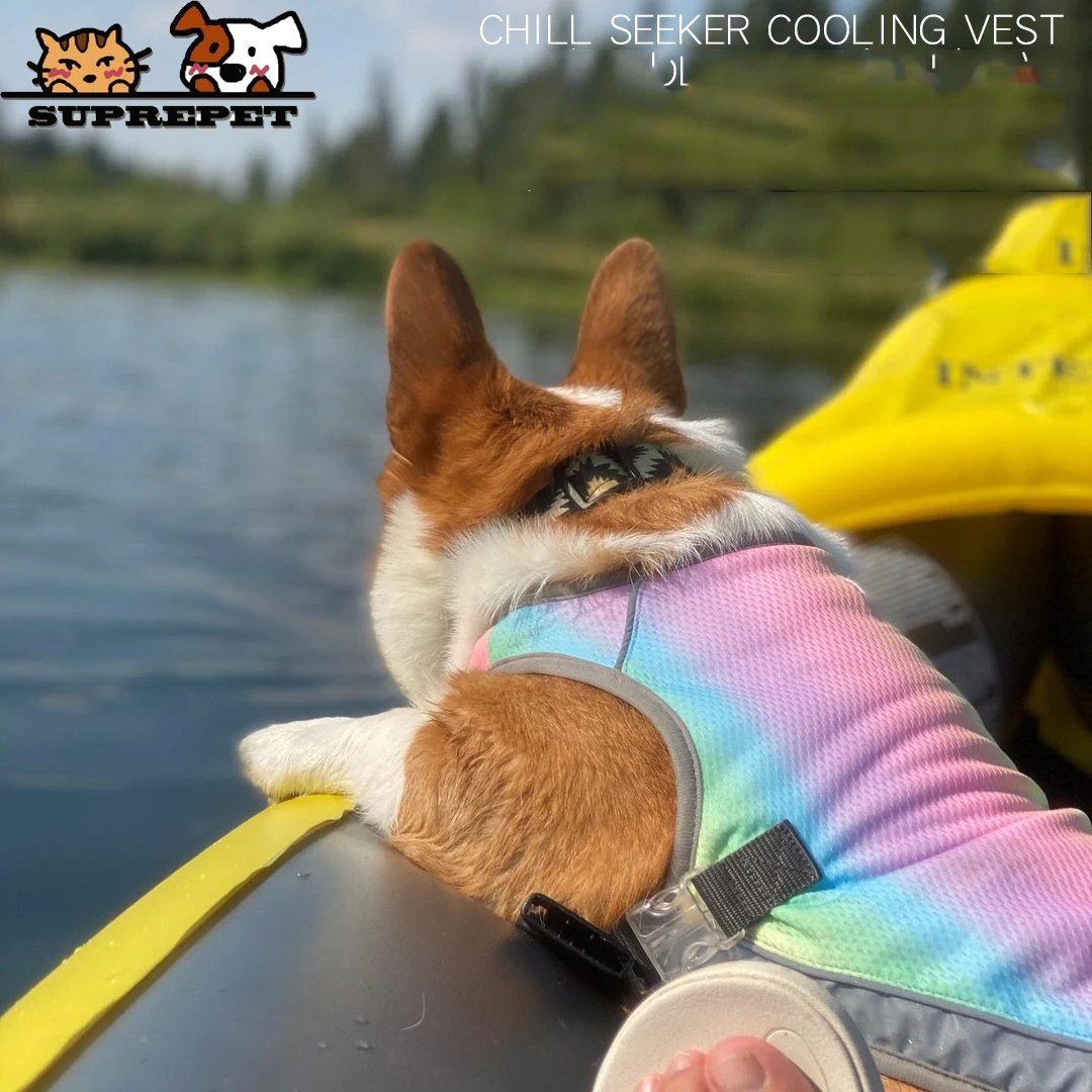 

Suprepet Polyester Solid Vest for Puppy Cute Dogs Cooling Dog Clothing Breathable Colorful Coat Fashion Pet Accessories Supplier