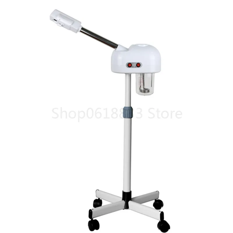 Beauty Salon 2 in 1 LED Cold Light 5X Magnifying Lamp Hot Facial Steamer Machine EU Plug 220V Clean Anti-Aging Beauty Equipment