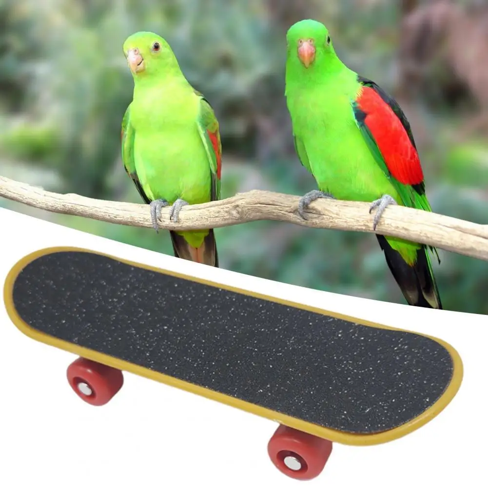 

Anti-deform Fashion Realistic Educational Bird Training Toy Lightweight Parrot Training Toy Attractive for Garden