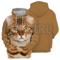 cats bengal 3d printed hoodies unisex pullovers funny dog hoodie casual street tracksuit