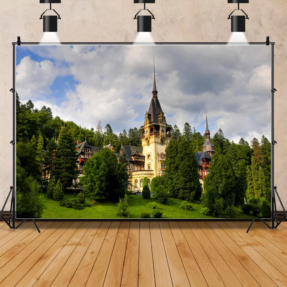 

Castle Palace Indoor Photography Background Newborn Child Portrait Birthday Photo Background Photo Gallery Props CB-14