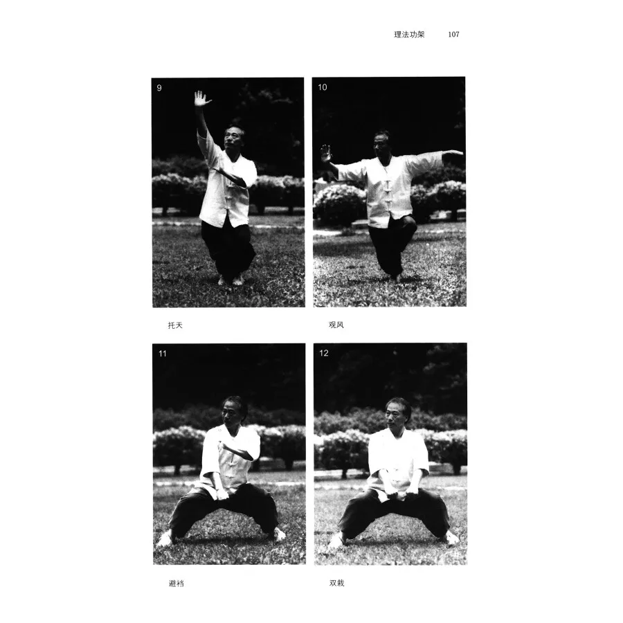 Традиционная книга с восьмиполюсным кулаком Ba Ji Quan Ba Ji Xin Fa китайское кунг-фу вушу боевое искусство (art.: 3920c36bed70d) - 3920c36bed70d