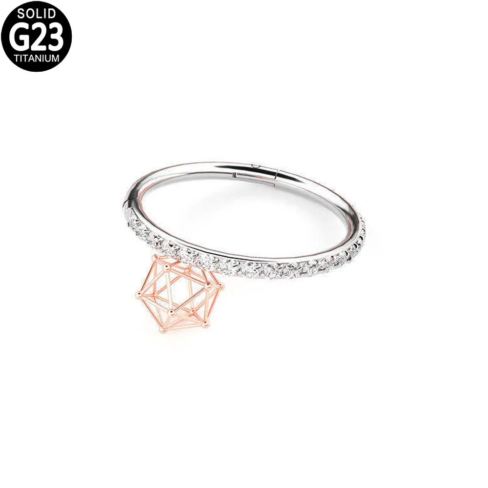 

G23 Titanium Segment Hinged Ring Nose Lip Earrings Zircon Septum Ear Cartilage Tragus Stud Daith Nose Clicker Piercing Jewelry