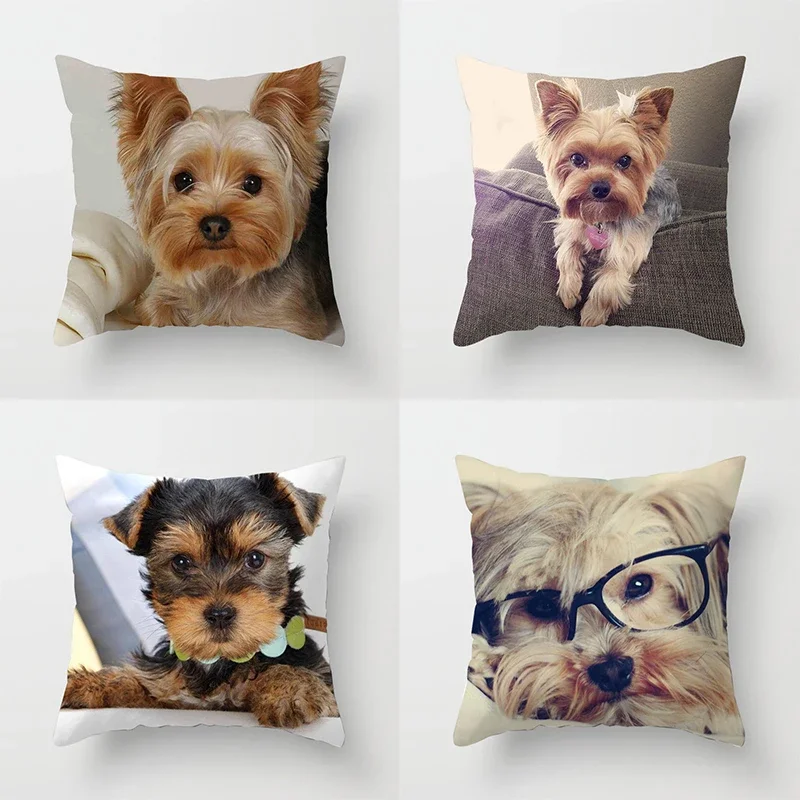 Кухонный диван для поясницы кухонный дома йоркширского терьера