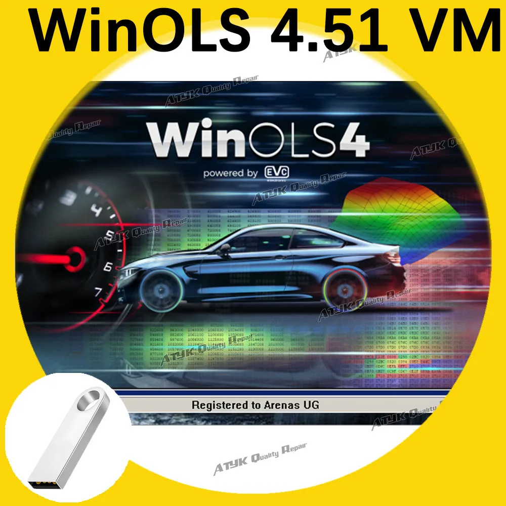 Диагностическое программное обеспечение WinOLS 4.51 VM с Plugins Vmwar ECU Winols Считыватель