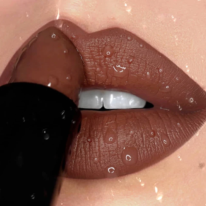 

12 Colors Nude Matte Lipsticks Waterproof Long Lasting Non-stick Cup Sexy Nude Brown Red Black Velvet Lipstick Makeup Cosmetics