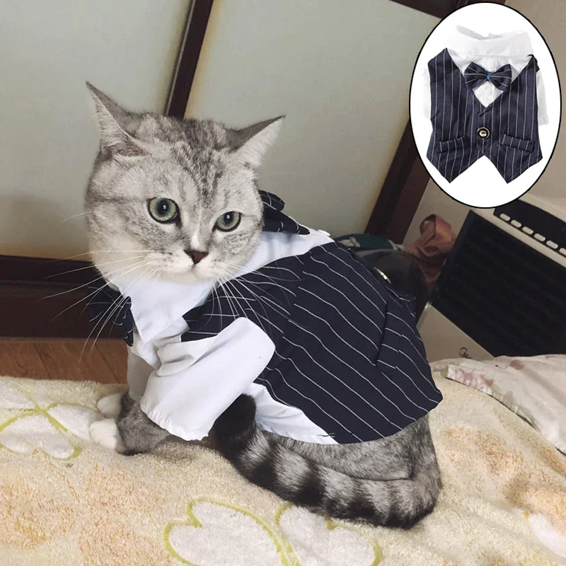 

Модный женский костюм для кошек, летнее свадебное платье в виде кошки, смокинг, Mascotas Katten, пальто, костюм кошки, одежда