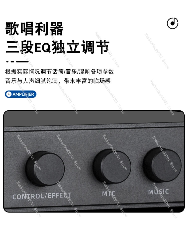 Предложение сценическое исполнение профессиональный домашний караоке