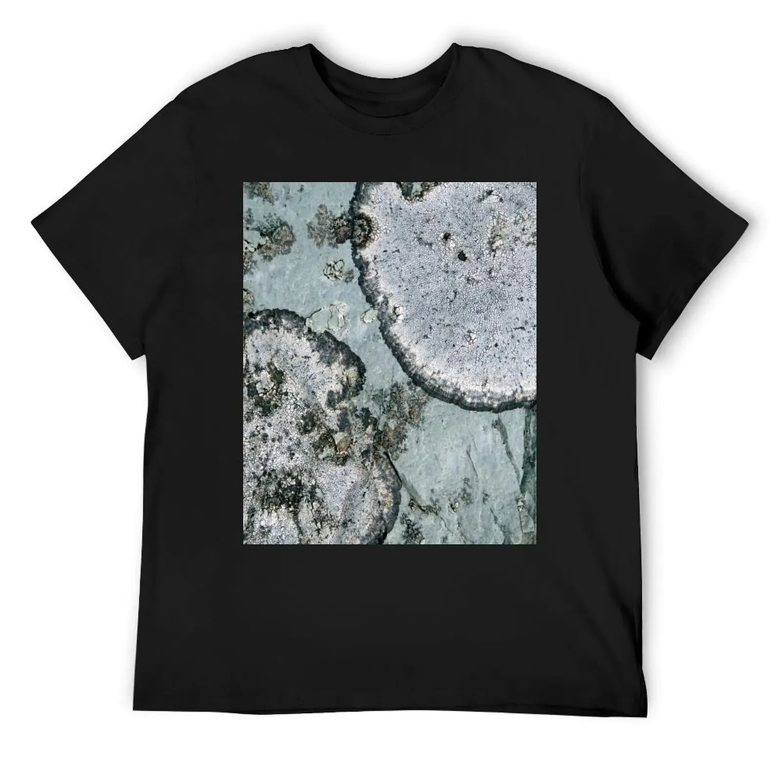 Футболка lichen винтажная футболка с рисунком топы больших размеров футболки