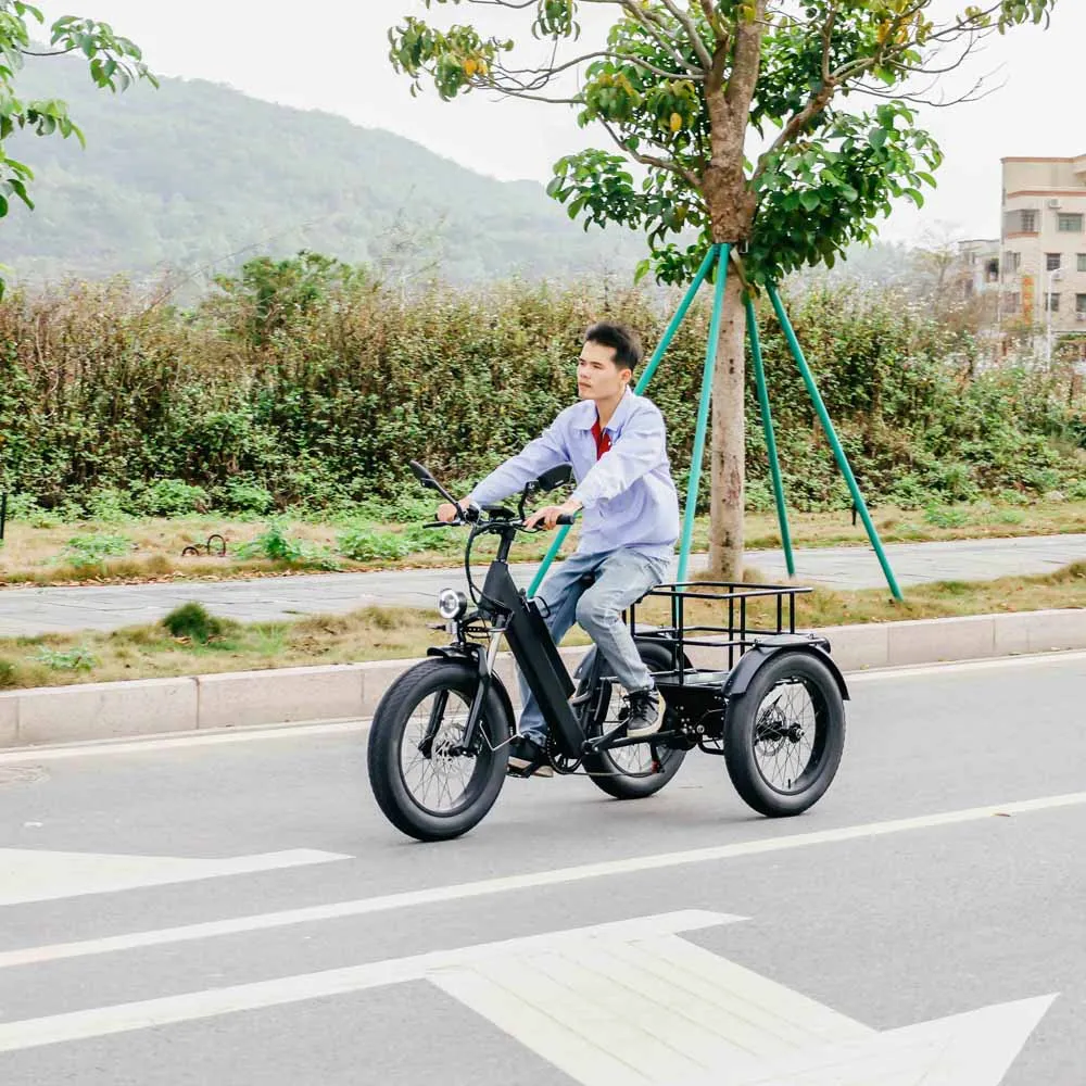 Популярный 3-колесный электрический велосипед 250 Вт трехколесный с толстыми