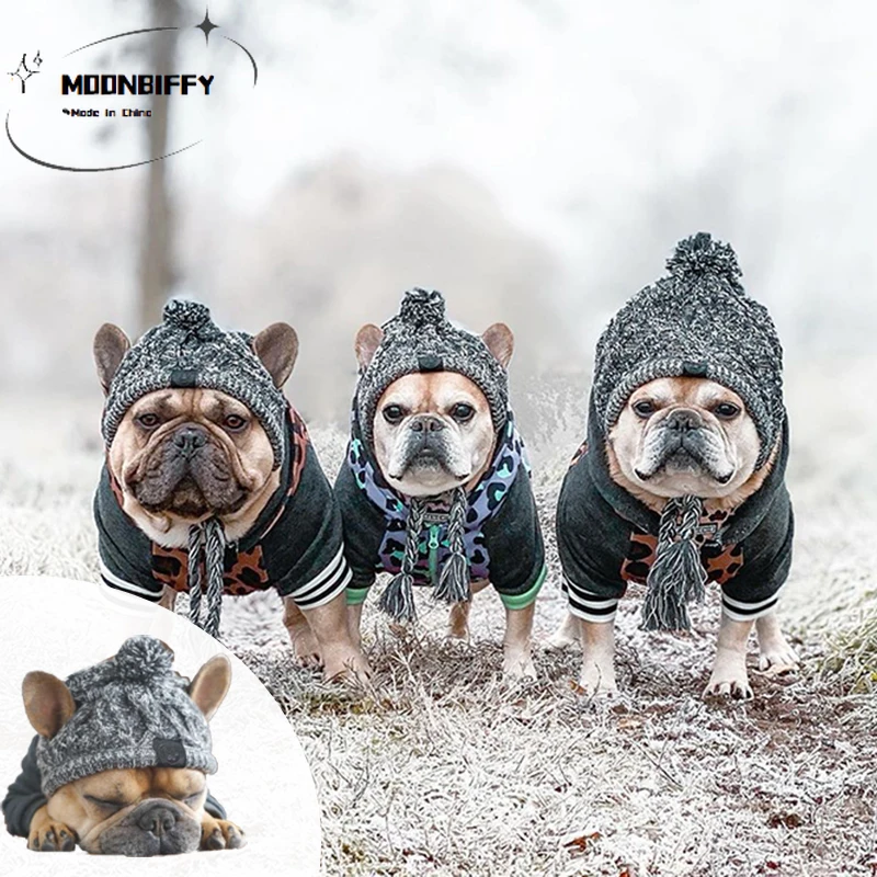 

Зимняя теплая ветрозащитная трикотажная французская флейта для собак чихуахуа