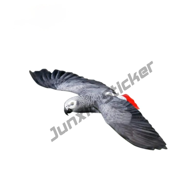 

African Grey Magnet Car Window 3D Car Sticker JDM Vinyl Car Yacht Wrap Bumper Trunk Truck 4x4 Off Road Decal Graphics KK13x8cm