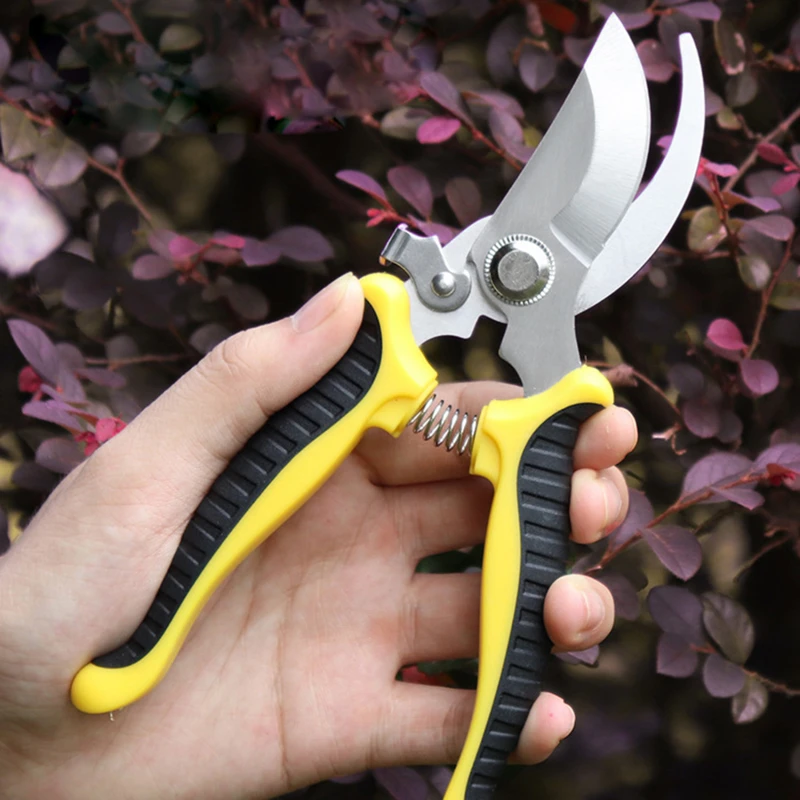 

Pruner Garden Scissors Professional Sharp Bypass Pruning Shears Tree Trimmers Secateurs Hand Clippers For Garden Beak Scissors