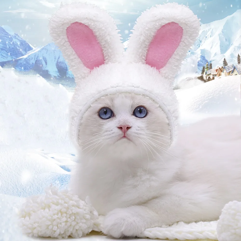 

Lovely warm and comfortable cotton wool small and medium-sized dogs, dogs, cats, pets, white rabbits, hats and headgear