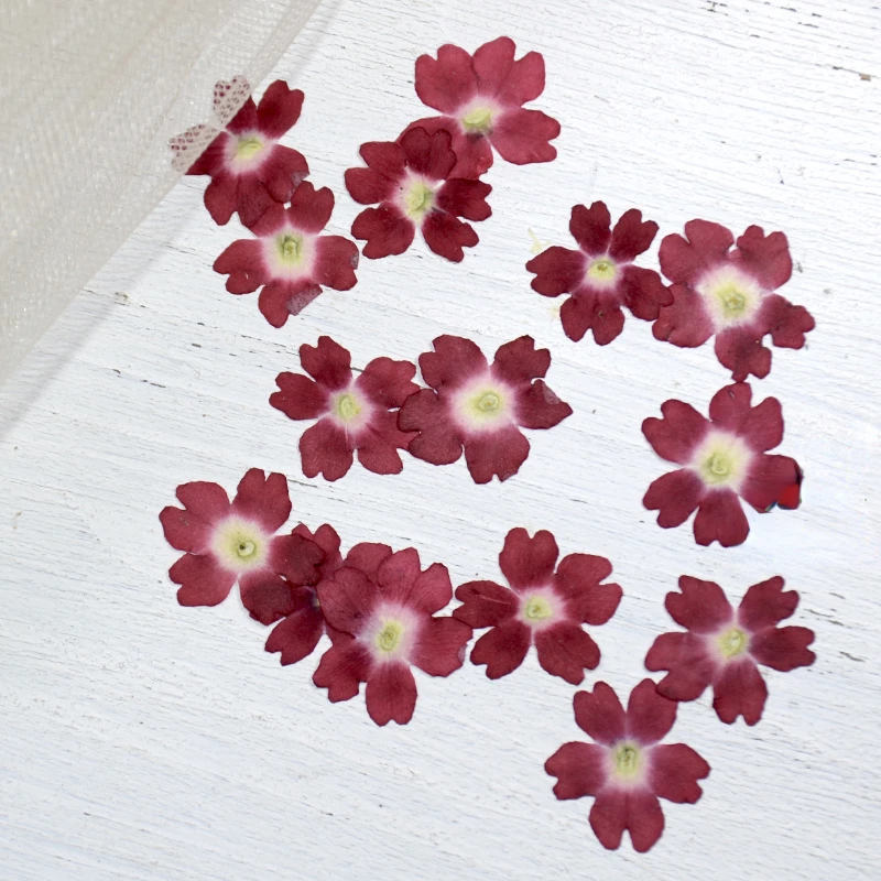 

Натуральные прессованные лепестки сакуры 24 шт