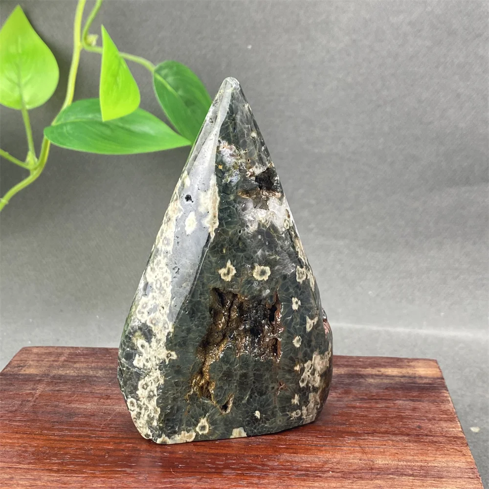 Натуральная морская яшма хрустальные украшения Рейки массаж волшебная