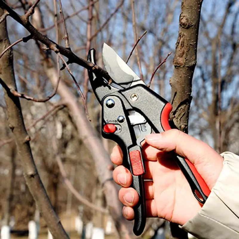 

Garden Pruning Scissors Heavy Duty Metal Sharp Bypass Pruning Shears Professional Labor Saving Garden Tree Clippers Trimmers