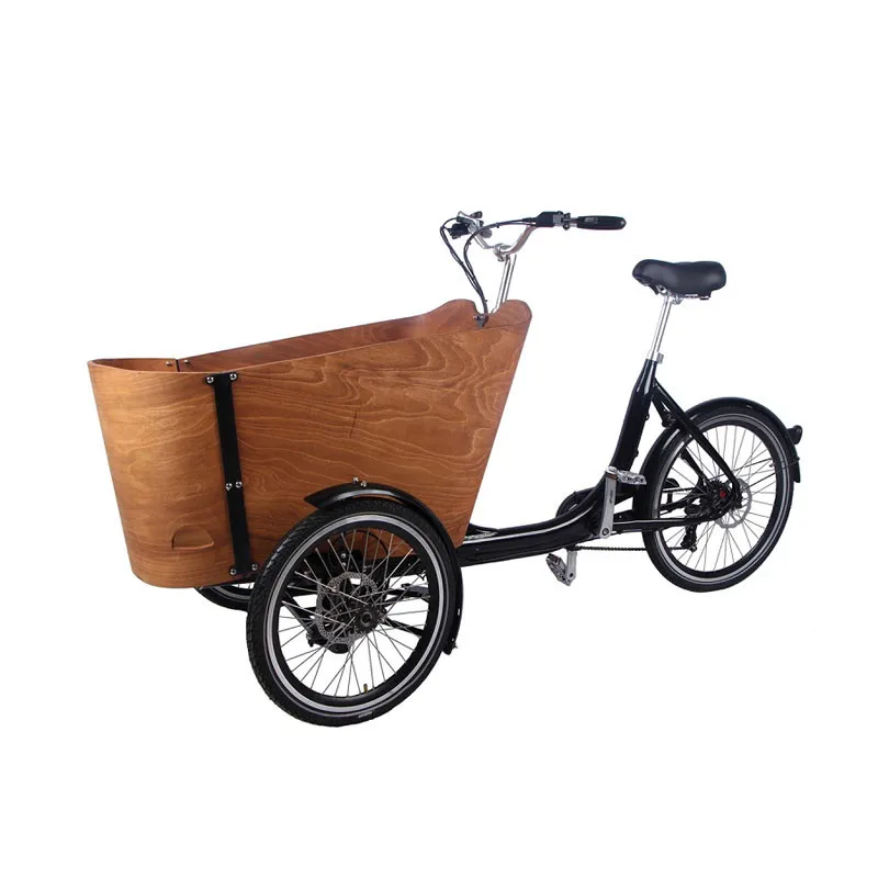 

Wooden Frame Electric Adult Tricycle Trends 3 Wheels Dutch Cargo Bike Family Bicycle Kids Scooter for Sale Free Shipping