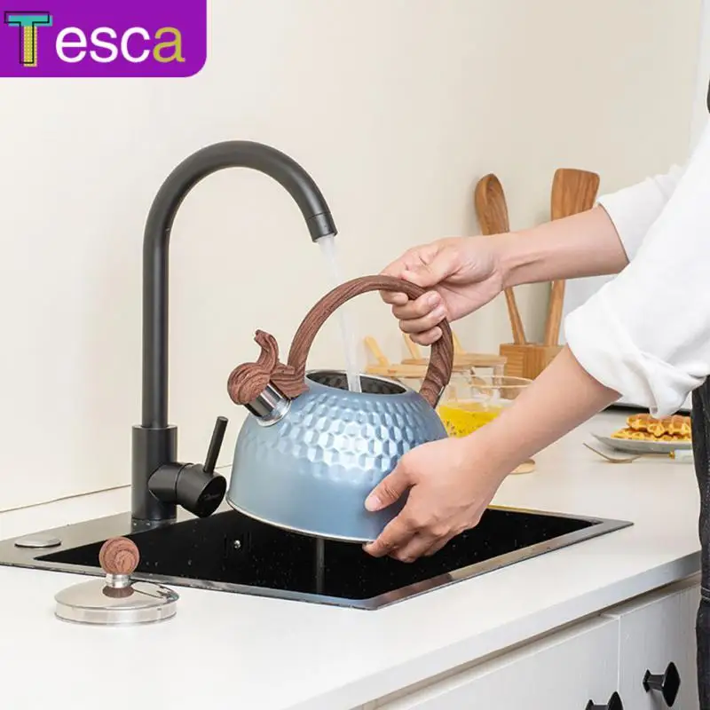 

2.5 Quart Stainless Steel Whistling Tea Kettle Stovetops Enamel Food Grade Tea Pot With Heat-Proof Handle For Gas Induction Cook