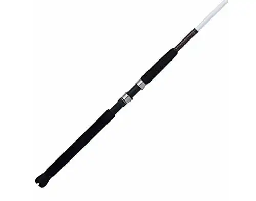 

Catfish Spinning Rod, Catfish Rod