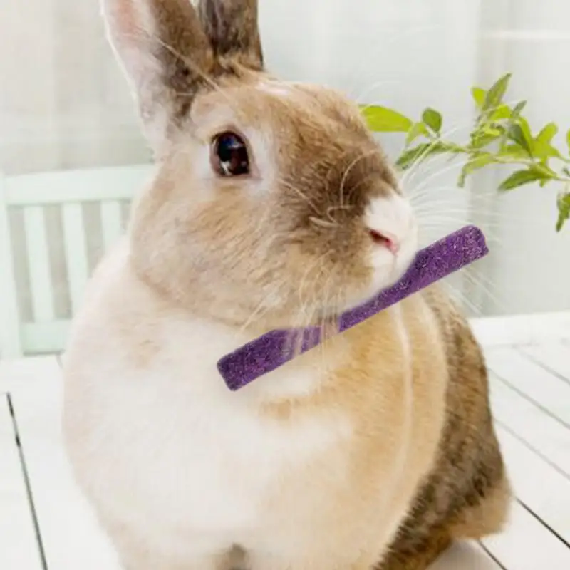 

Petal Grass Stick Rabbit Guinea Pig Chinchilla Molar Stick Pet Snacks Cleaning Teeth Grass Stick Chew Toy Pet Products