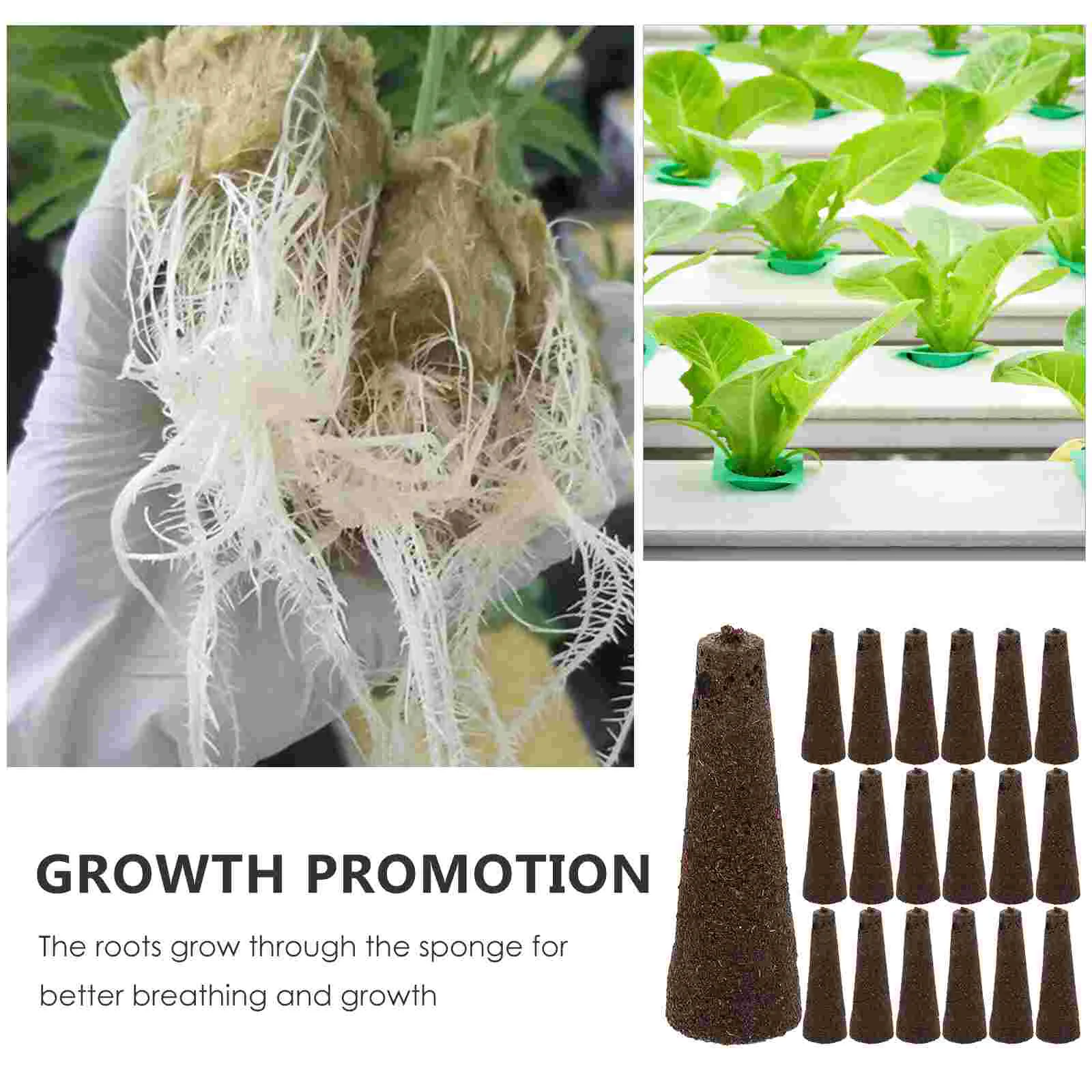 

Sprouts Wheatgrass Grower Sponge Sponges For Hydroponic Planting Soilless Cultivation Equipment
