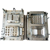 customized high quality multi cavity small plastic parts injection mould