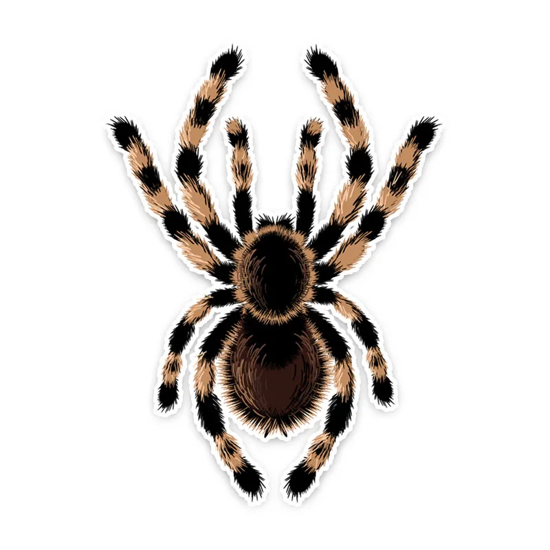 

Personalized Waterproof Cover Scratches Spider Crawl Decor Car Stickers Bumper Window Engine Cover Car Sticker PVC15x11cm